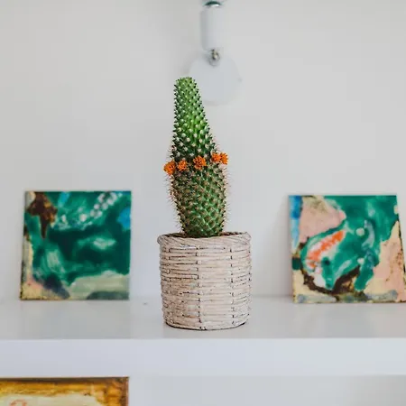 O Clube Semesterbostad Porto Da Cruz