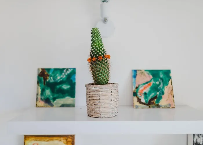 O Clube Feriehus Porto Da Cruz